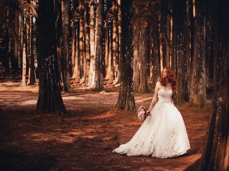 Fotografia e Filmagem