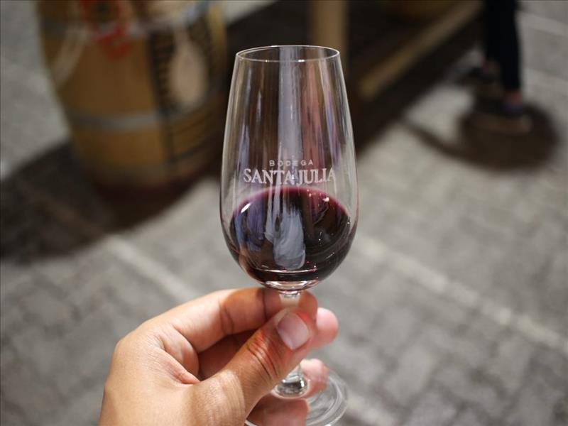 Vinhos finos, de mesa ou espumantes com e sem álcool para um brinde perfeito!